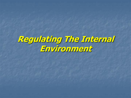 Regulating The Internal Environment