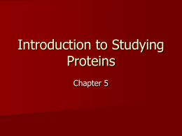 Introduction to Studying Proteins