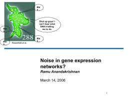 Noise in gene expression networks?