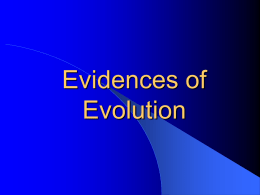 So…What do we know about evolution?