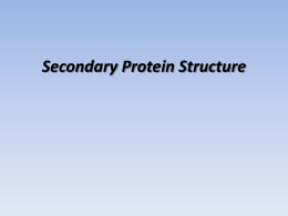 PROTEIN SECONDARY STRUCTURE