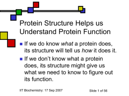 proteinstructure