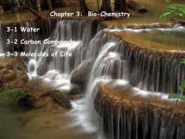 Chapter 3-Biochemistry