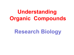 Organic Molecules Notes