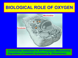 THE BIOLOGICAL ROLE OF OXYGEN