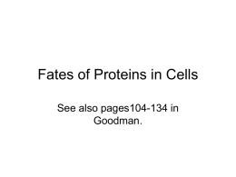 Fates of Proteins in Cells