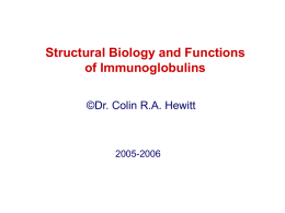 Immunoglobulin Structure-Function Relationship Immunoglobulins