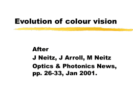 Evolution of colour vision