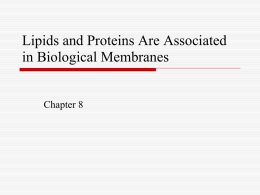 Lipids and Proteins Are Associated in Biological