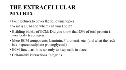 Extracellular matrix