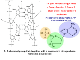 In your Nucleic Acid ppt notes