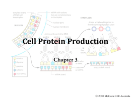 Chapter 3 - Cell Protein Production