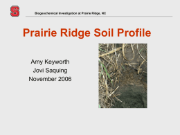Prairie Ridge Soil Profile
