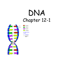 DNA→ RNA