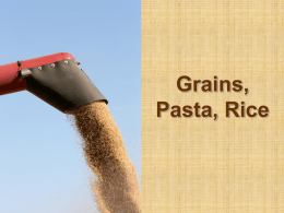 Grains-Pasta-Rice-PPT
