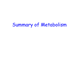 Summary of Metabolism