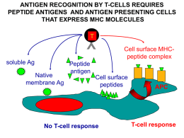 T-cell response