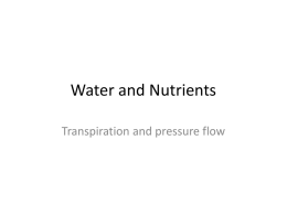 Water and Nutrients - Trimble County Schools