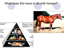 Nutritional Requirements of Horses