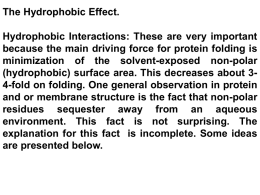 The Hydrophobic Effect. Hydrophobic Interactions: These are very