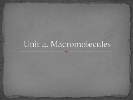 Slides on Macromolecules