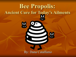 Bee Propolis: Ancient Cure for Today`s Ailments