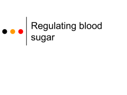 Powerpoint Presentation: Regulating Blood Sugar