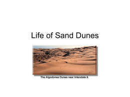 Life of Sand Dunes