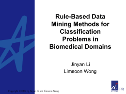 Rule-Based Data Mining Methods for Classification Problems in