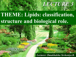 03. Lipids. Classification, structure and biological role