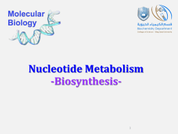 Nucleotide Metabolism -Biosynthesis- Dr. Sooad Al