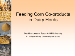Feeding Corn Co-Products in Dairy Herds