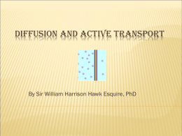Diffusion and Active Transport