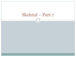 Skeletal – Part 7 - Mount Carmel Academy
