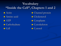 Vocabulary “Inside the Cell”, Chapters 1 and 2