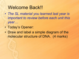 IB Topics DNA HL