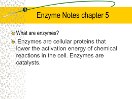 enzyme powerpoint