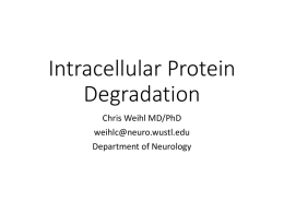 Ubiquitin-proteosome protein degradation ppt