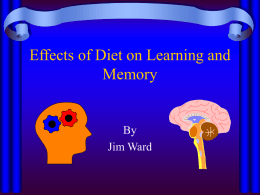 Effects of Diet on Learning and Memory