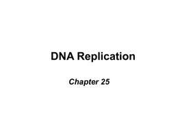 Biochemistry Lecture 21