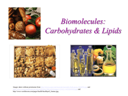 Carbohydrates & Lipids - mvhs