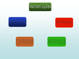 Back to the Nitrogen Cycle Waste