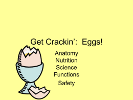 Get Crackin`: Eggs!