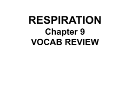 Respiration vocab - local.brookings.k12.sd.us
