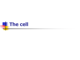 The cell - WordPress.com