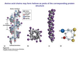 Amino acid chains may form helices as parts of the corresponding