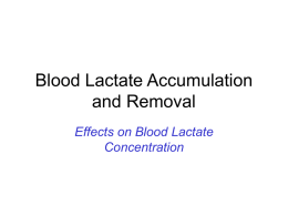 Blood Lactate Accumulation and Removal