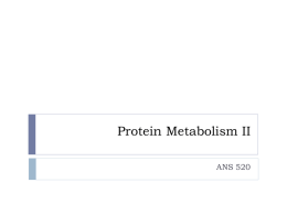 3.27.12 lecture protein