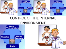 CONTROL OF THE INTERNAL ENVIRONMENT