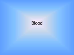 Blood System